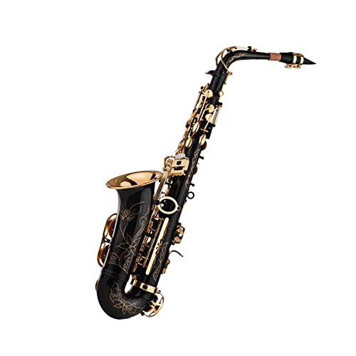 Qudai Saxofón Alto Negro Saxofón Latón Lacado en Oro 82Z Mi bemol Estuche Acolchado Paño de Limpieza...