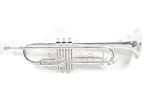 Roy Benson TR-202S Trompeta con Estuche