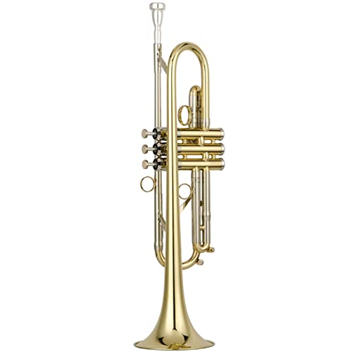 Trompeta Profesional Western Wind Instrument Juego Trompeta estándar