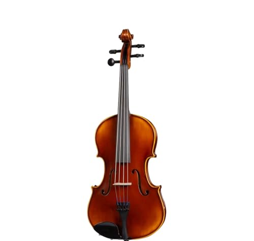 D Z Strad Violín LC101 con funda, reposamuñecas, arco y colofonia (4/4 - Tamaño completo)