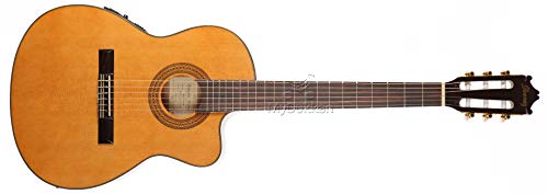 GUITARRA ELECTRO ACUSTICA IBAÑEZ GA5TCEAM