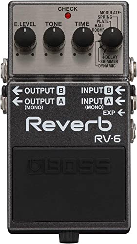 BOSS RV-6 Pedal, Plateado