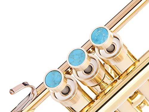 Heavy Trompeta - Botones personalizados para todos los Yamha (todos YTR), Stomvi, Shagerl, Carol Brass y...
