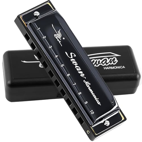 Armónica, LENGSIDA Harmonica, Llave Principal C, 10 Agujeros 20 Tonos, Acero Inoxidable Diatonic...