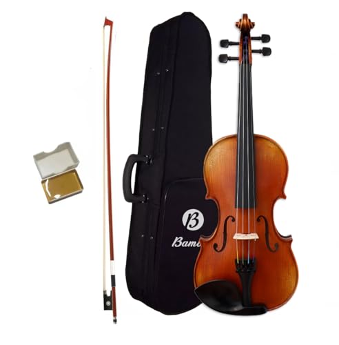 BAMBOO, Violín 1/4 Brillante con Brea, Arco y Estuche Rígido - Ideal para Estudiantes y Principiantes