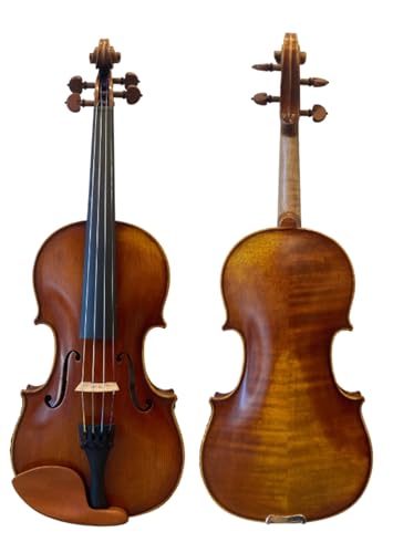 D Z Strad Violín modelo 101 con madera maciza con funda, arco y colofonia, Regalos para Musicos (4/4...