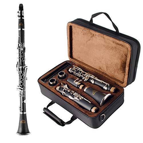 EASTROCK - Clarinete Bb de 17 teclas, material ABS, amplia gama de tonos, especialmente para...
