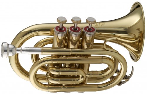 Stagg WS - TR245 - Trompeta de bolsillo con estuche 6 x 3 x 8 pulgadas