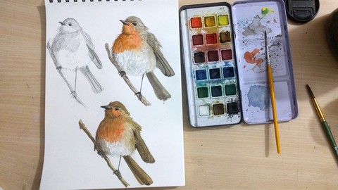 Cuaderno De Bocetos Todos Los Días: Pintar Pájaros En Acuarela