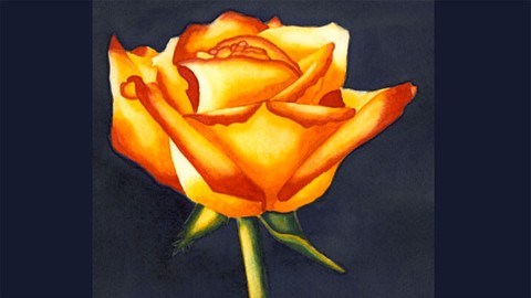 Pintar una rosa de acuarela - Pintura de acuarela para principiantes