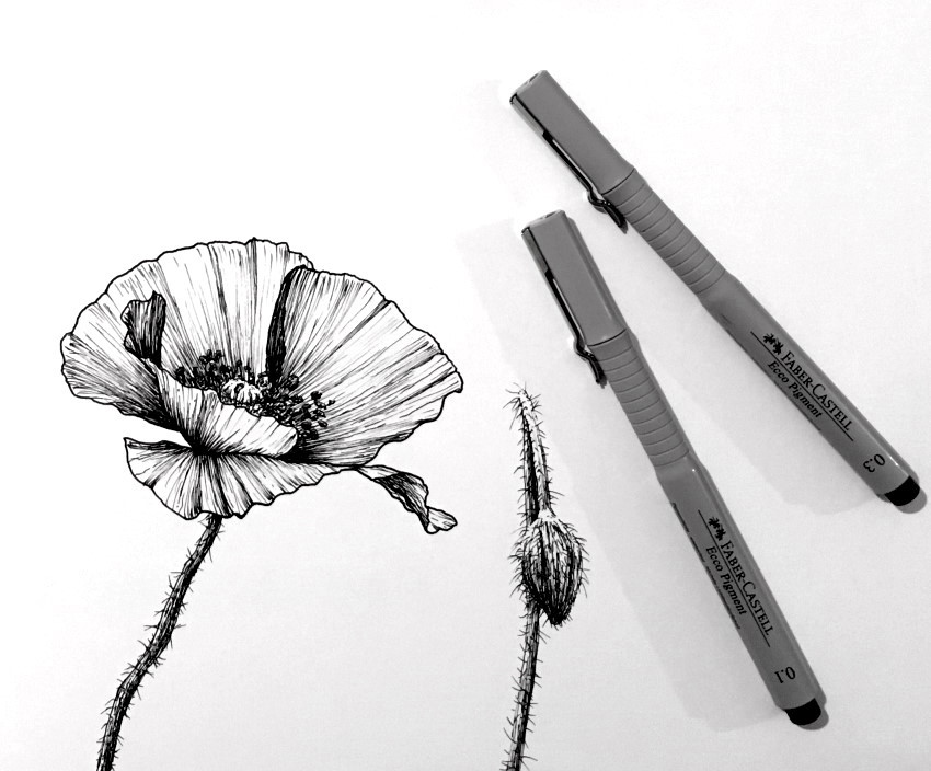 Guía para dibujar flores con bolígrafos