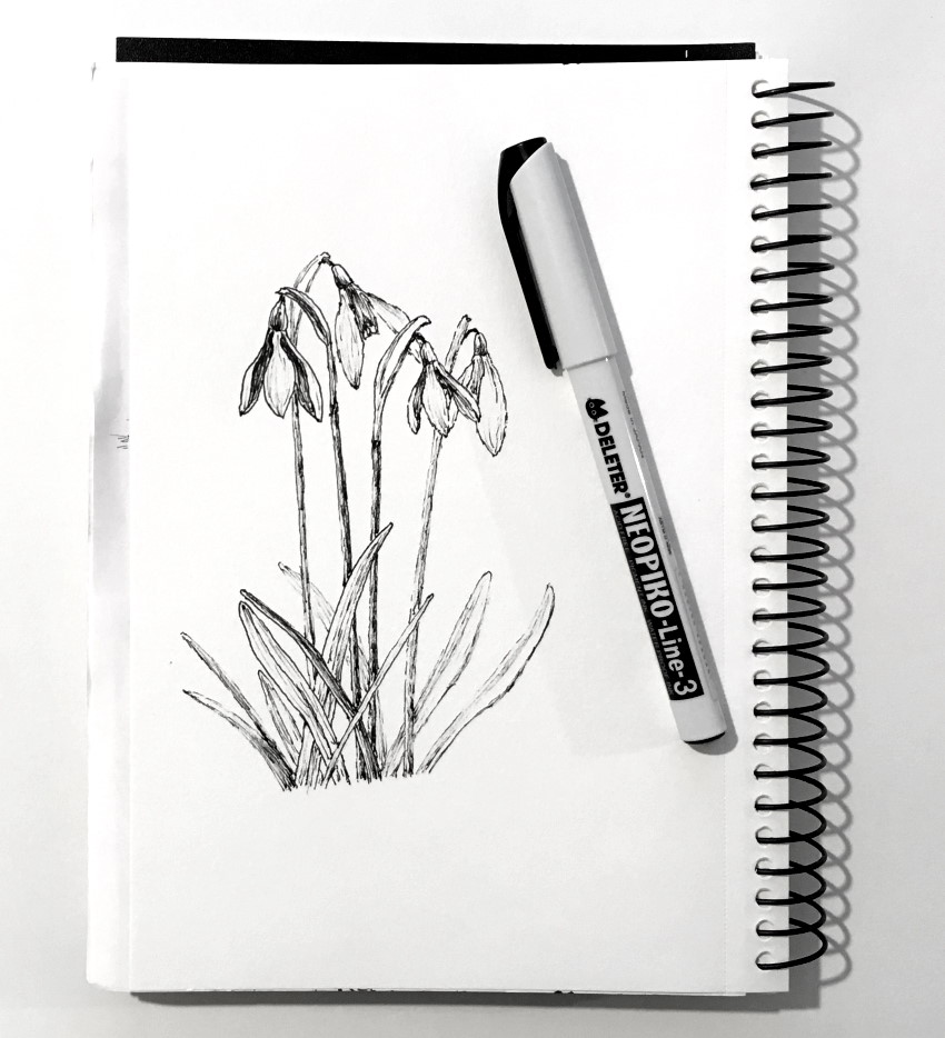 Guía para dibujar flores con bolígrafos