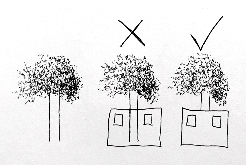 ¿Cómo dibujar árboles facilmente?