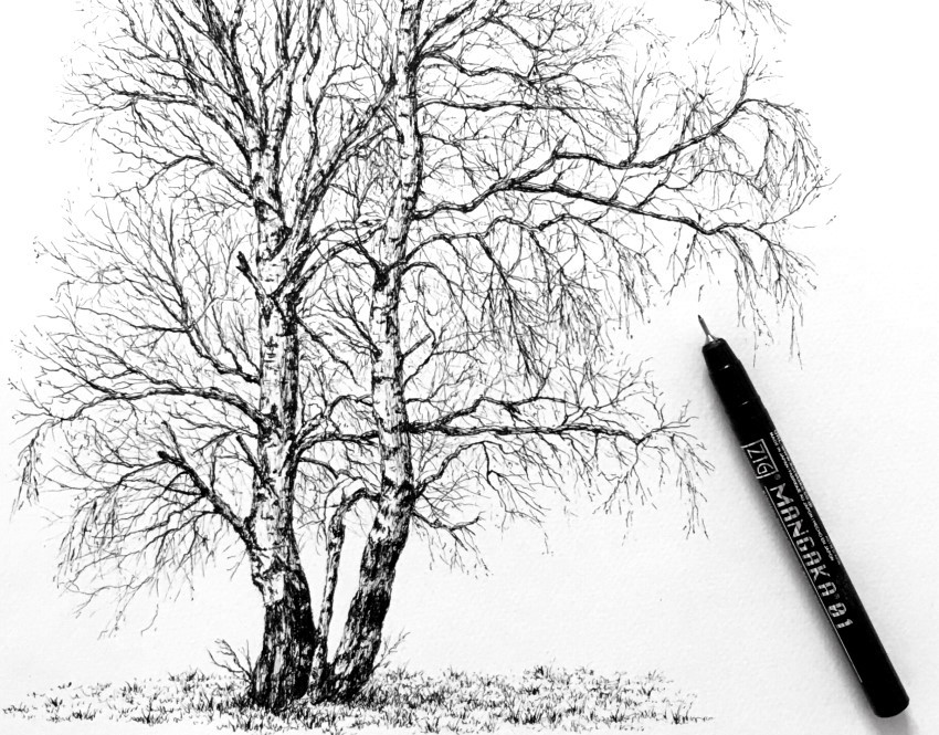 ¿Cómo dibujar árboles facilmente?