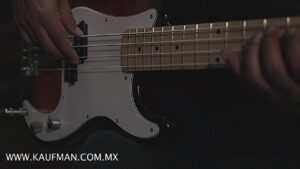 Bajos Eléctricos Danwood