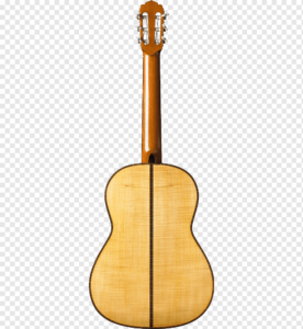Guitarras Acústicas Amazon