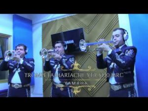 Trompetas Yamaha YTR 5330 Mrc