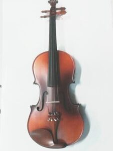 Violines Hausenbag